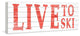 "Live to Ski II" Painting Print on White Wood, 30"x10"