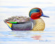 Green Wing Teal Kitchen Towel - Two Sets of Two (4 Total)