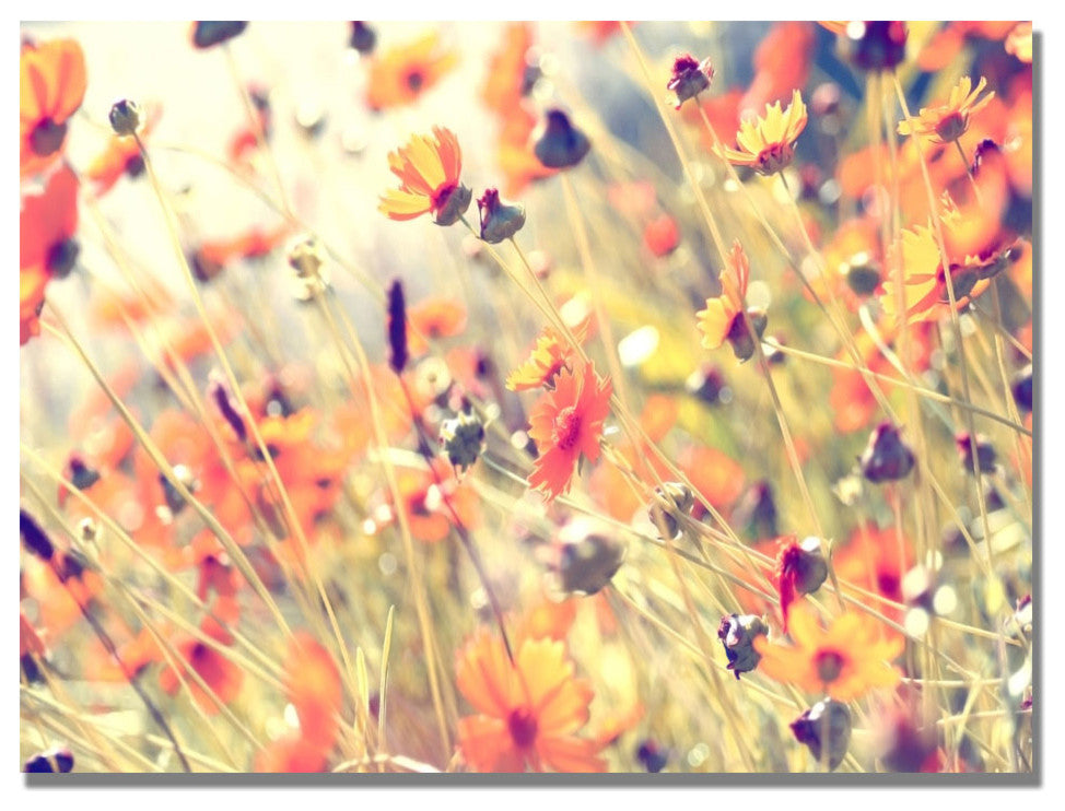 'Neverending Story' Canvas Art by Beata Czyzowska Young