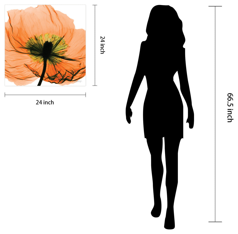 "Poppy Orange" Frameless Free Floating Panel Graphic Wall Art, 24"x24"