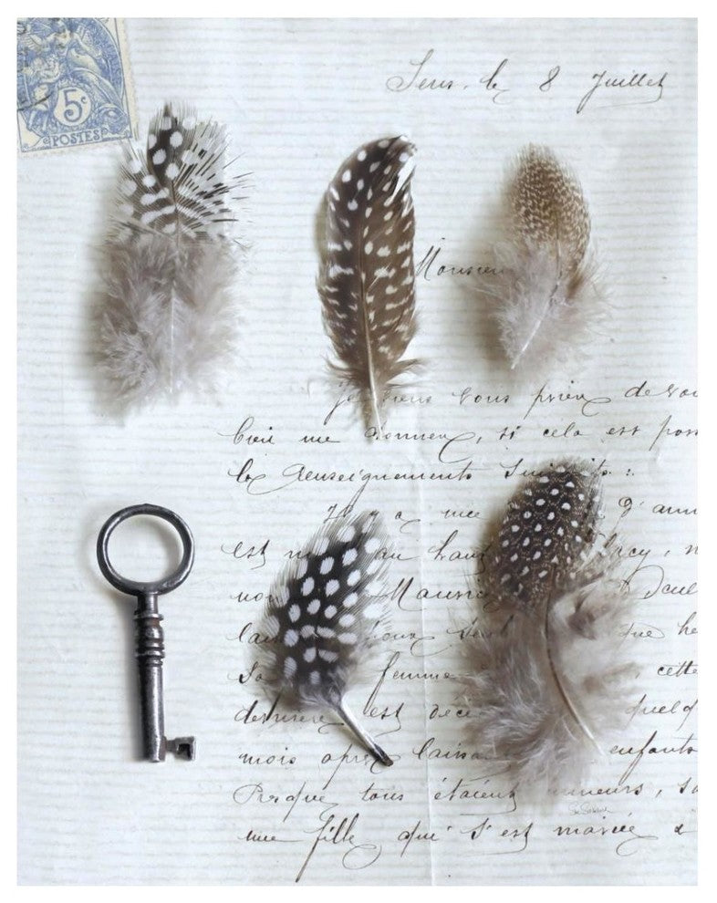 "Plume Letters V" Digital Paper Print by Sue Schlabach, 30"x37"