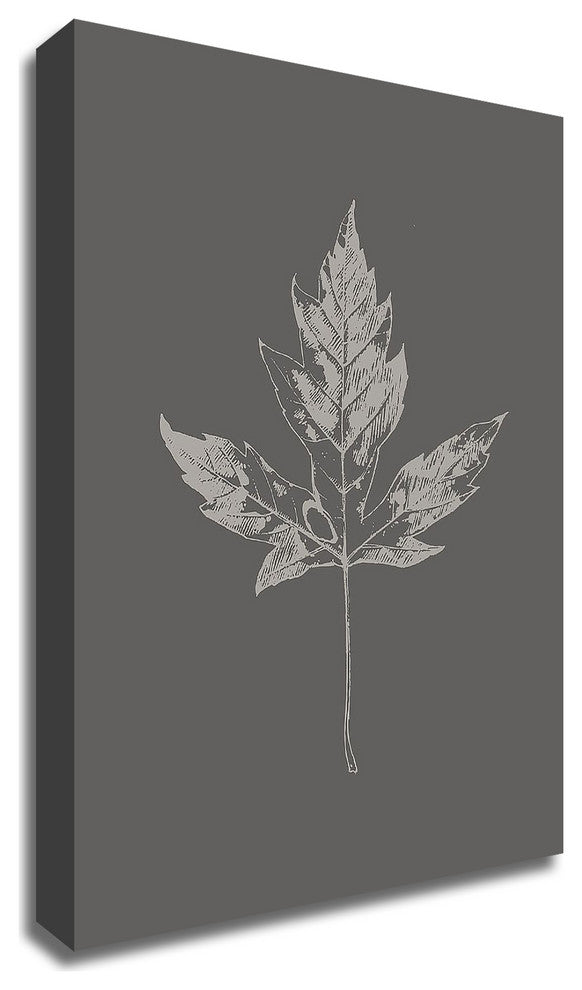 Botanica 5 by Design Fabrikken, Print on Canvas, 25"x35"
