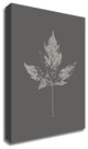 Botanica 5 by Design Fabrikken, Print on Canvas, 25"x35"