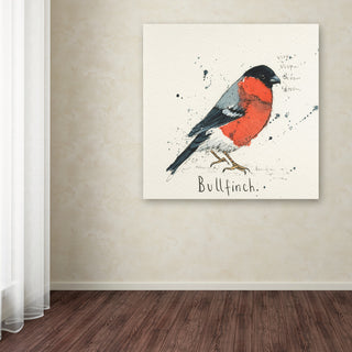 Michelle Campbell 'Bull Finch' Canvas Art, 14" x 14"
