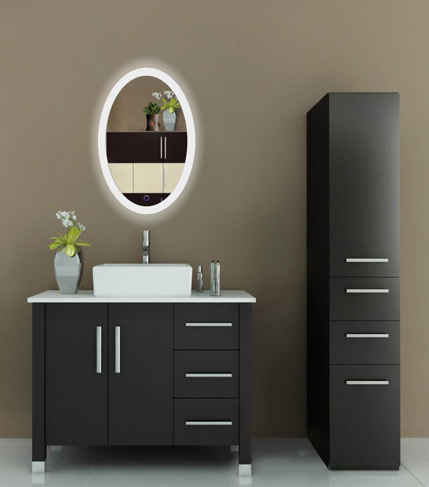 Oval LED Lighted Wall Mount Bathroom Mirror, Fog Free and Dimmable, 20"x30"