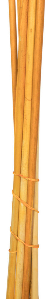 Vickerman 46" Dried Pampas Grass, Aspen Gold