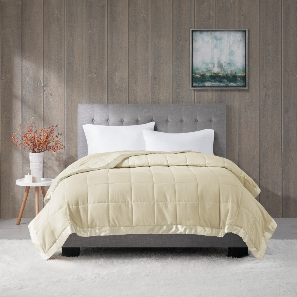 Madison Park Microfiber Blanket, Cream, King