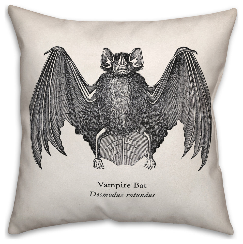Scientific Bat 16x16 Throw Pillow