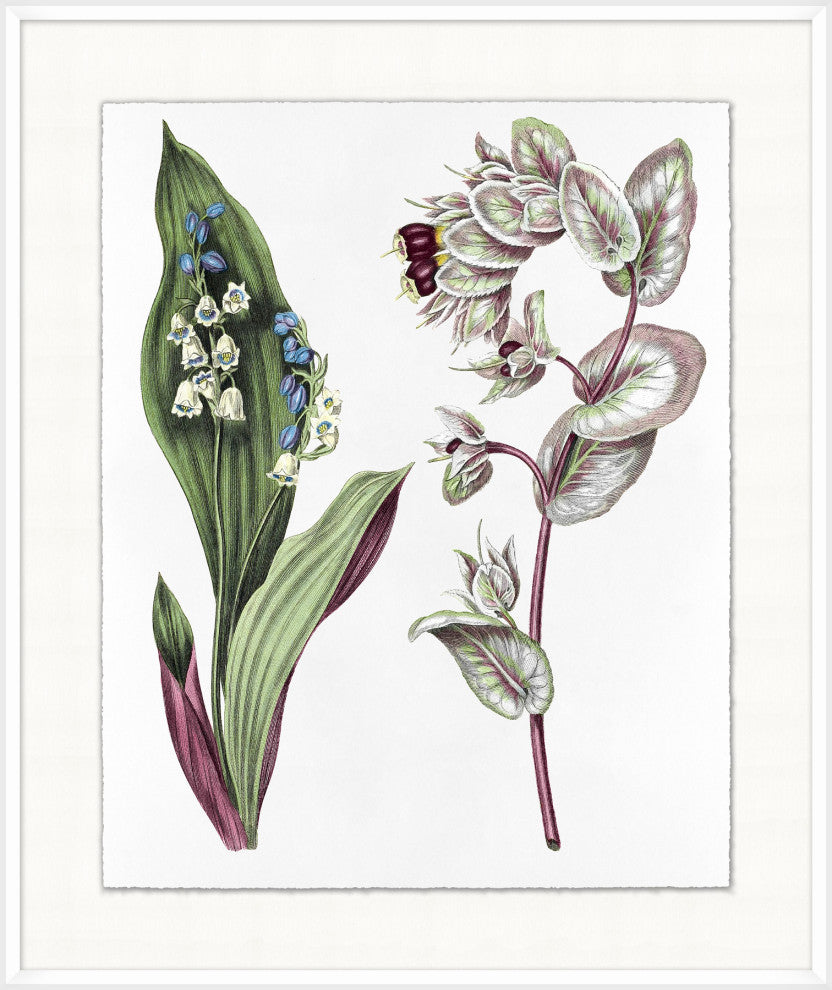 Vintage Flora 5, Giclee Reproduction Artwork