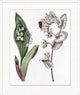Vintage Flora 5, Giclee Reproduction Artwork