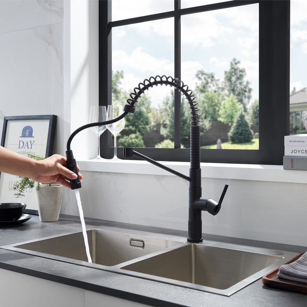 Nette Single-Handle Kitchen Faucet With Pull Down Sprayer, Matte Black