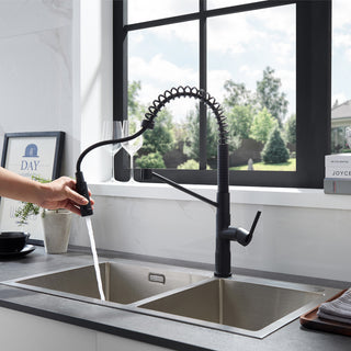 Nette Single-Handle Kitchen Faucet With Pull Down Sprayer, Matte Black