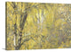 "Golden Dreams" Wrapped Canvas Art Print, 24"x16"x1.5"