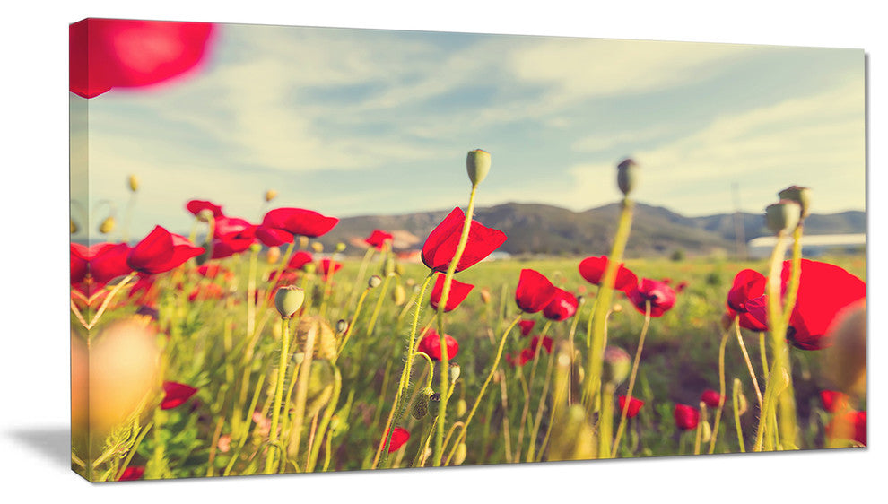 Wild Red Poppy Flowers in Field, Large Flower Canvas Art Print, 32"x16"
