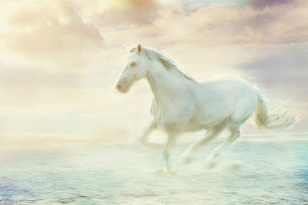 "Galloping Through the Water" Painting Print on Canvas
