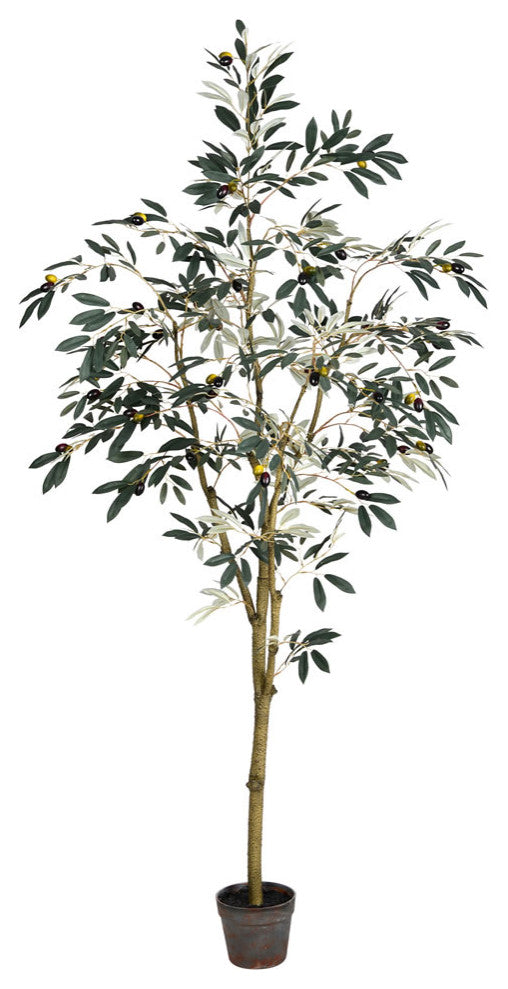 6' Potted Olive Tree 777Lvs