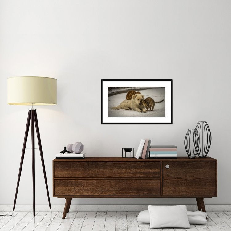 "Sweet Effusions" Framed Digital Print by Riccardo Lucidi, 38x23"