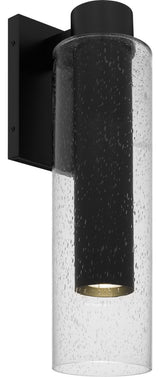 Sawyer LED Outdoor Wall Lantern in Matte Black