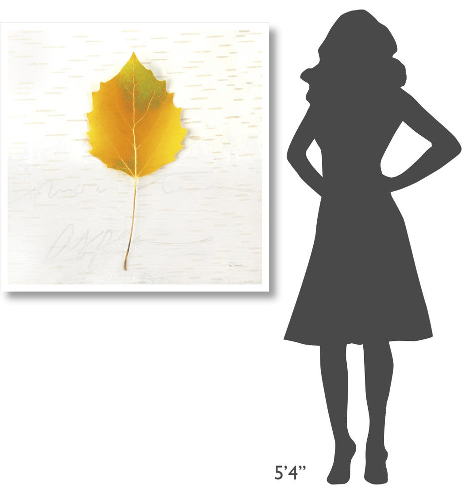 "Autumn Colors III" Digital Paper Print by Sue Schlabach, 38"x38"