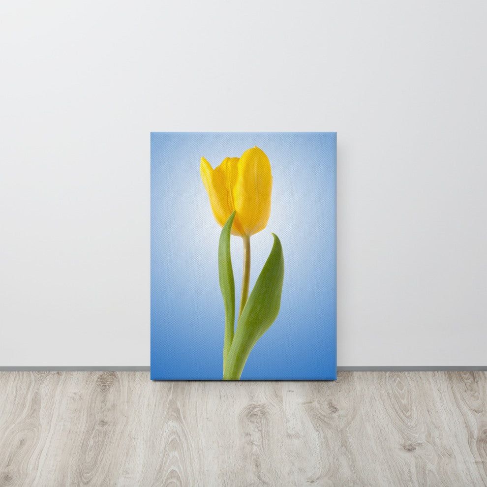Yellow Tulip Minimal Botanical Floral Nature Photo Canvas Wall Art Print, 18" X 24"