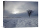 "Winter Impression" Stretched Canvas Giclee by Franz Schumacher, 16"x13"