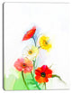 Still Life Colored Gerbera Flowers, Large Floral Canvas Art Print, 30"x40"