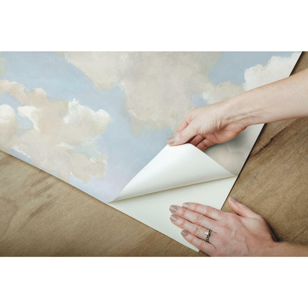 Clouds on Canvas Peel and Stick Wallpaper