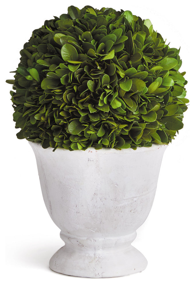 Boxwood Ball Topiary, Pot Small