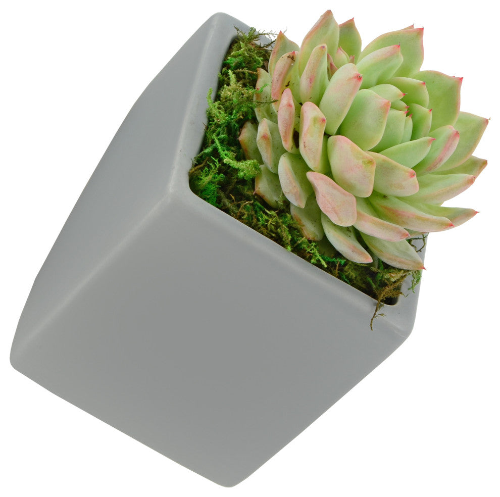 Large Cube Wall Planter, Light Gray