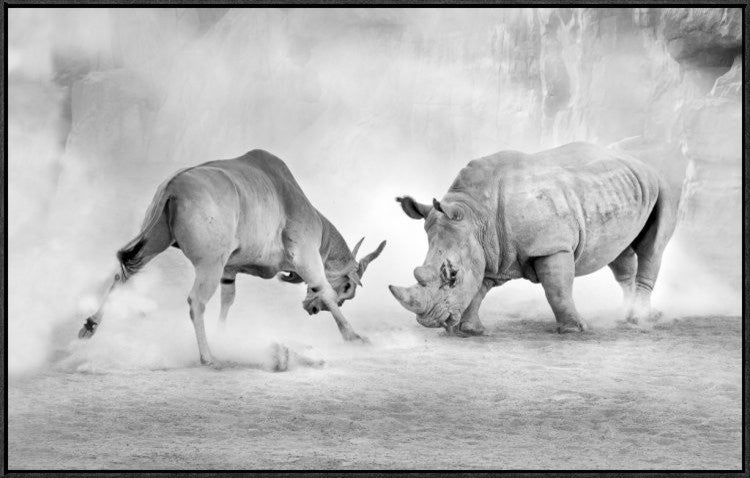 "Combat" Framed Canvas Giclee by Juan Luis Duran, 41x26"