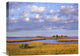 "Saltwater Marshes At Cedar Key, Florida" Artwork, 24" x 18"