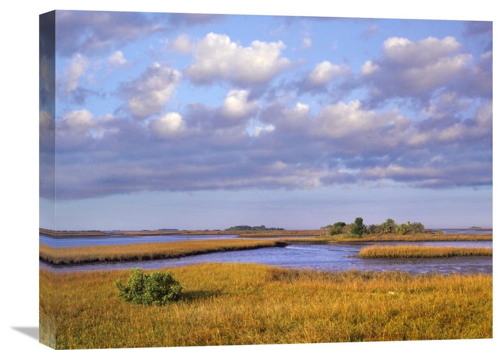 "Saltwater Marshes At Cedar Key, Florida" Artwork, 24" x 18"