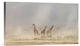 "Weathering The Amboseli Dust Devils" Canvas Giclee by Jeffrey C. Sink, 22"x13"