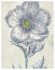 "Belle Fleur II" Digital Paper Print by Sue Schlabach, 30"x37"