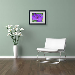 'Purple Flower' Matted Framed Canvas Art by Monica Fleet
