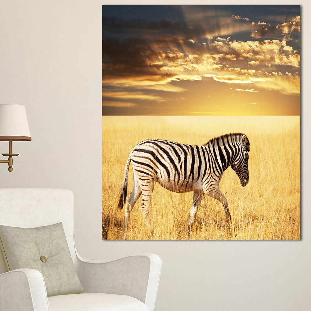 Solitary Zebra Walking in Grassland, African Canvas Art Print, 30"x40"