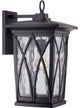 Grover 1-Light Outdoor Lantern, Mystic Black