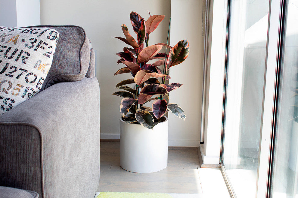 Root And Stock Brea Round Cylinder Planter, White, D:18" X H:18"