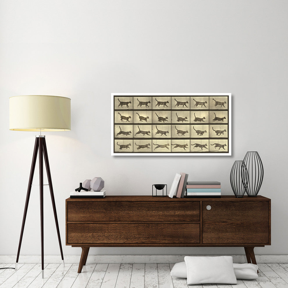 "Motion Study: Running Cat" Paper Print by Eadweard J. Muybridge, 50"x26"