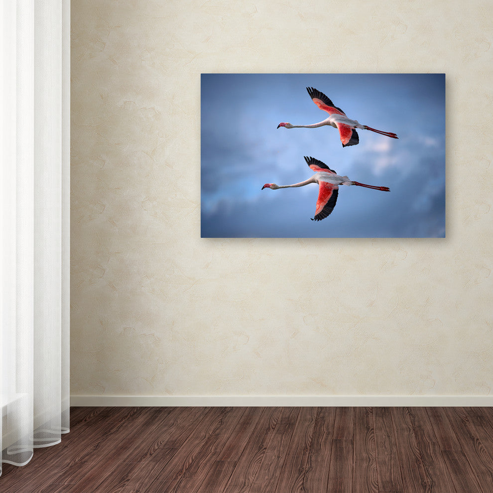 Xavier Ortega 'Greater Flamingos' Canvas Art, 47x30