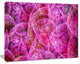 Pink Fractal Dramatic Clouds, Oversized Abstract Canvas Wall Art, 60x40