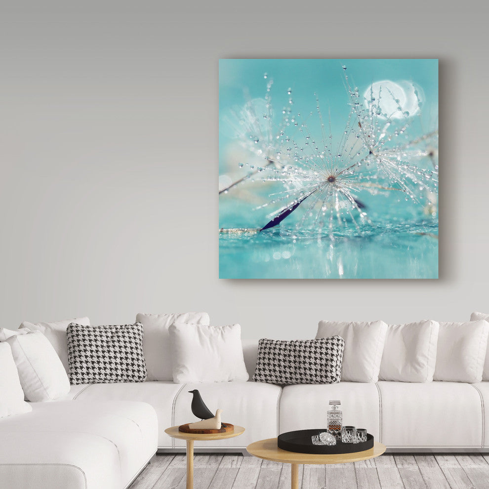 Incredi ''Catching Dreams'' Canvas Art, 24"x24"