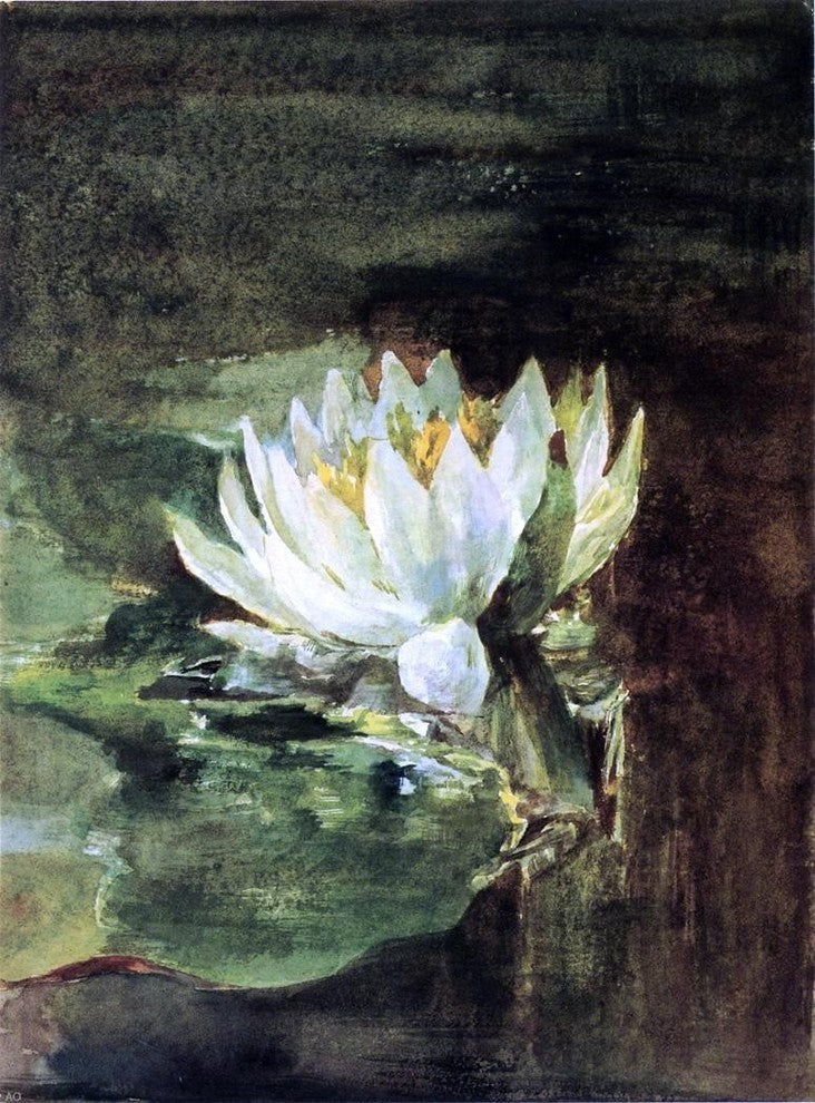 John La Farge Single WaterLily in Sunlight Premium Canvas Print