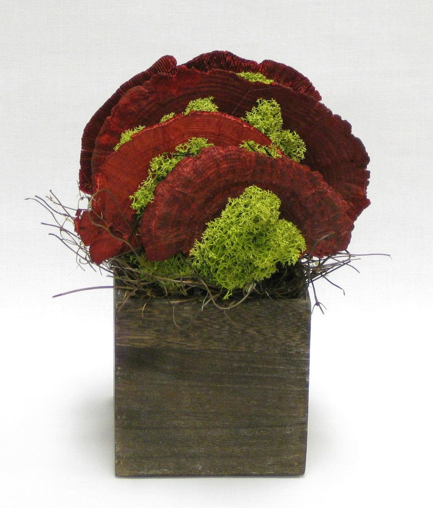 Wooden Cube Brown Stain, Sponge Mushrooms Red, Red