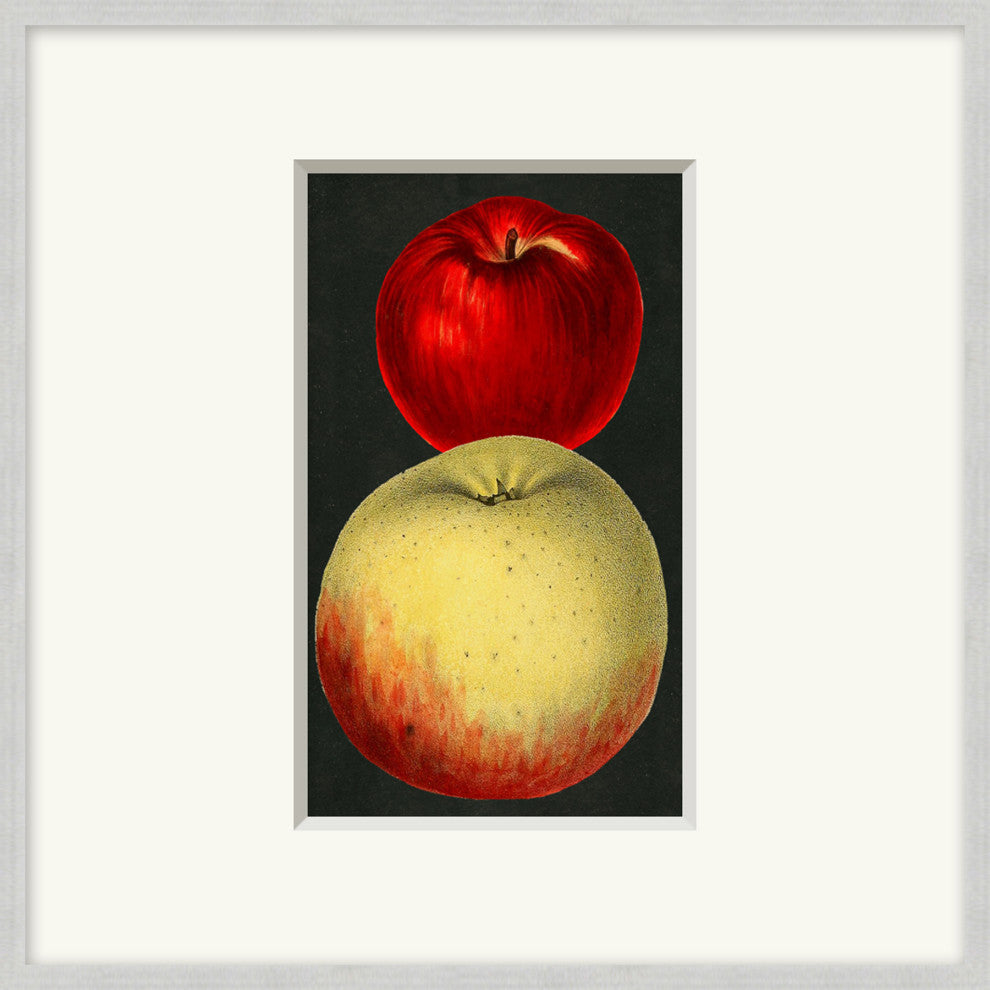 Fruit Study 3, Giclee Reproduction Artwork