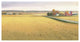 "Heartland Landscape II" Digital Paper Print by James Wiens, 38"x20"