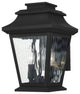 Livex 20232-04 2-Light Outdoor Wall Lantern, Black