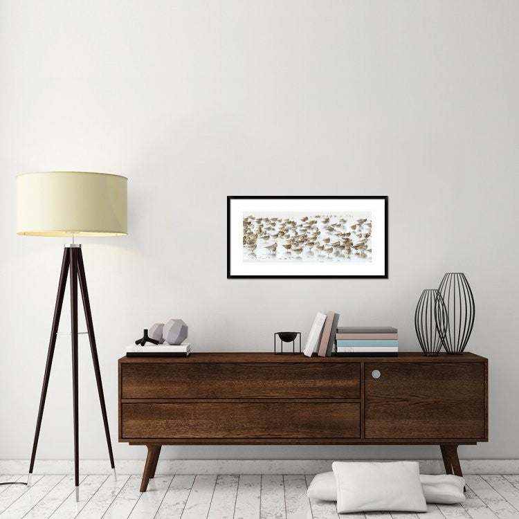 "Bar-Tailed Godwit 19" Framed Digital Print by Kurien Yohannan, 38"x20"