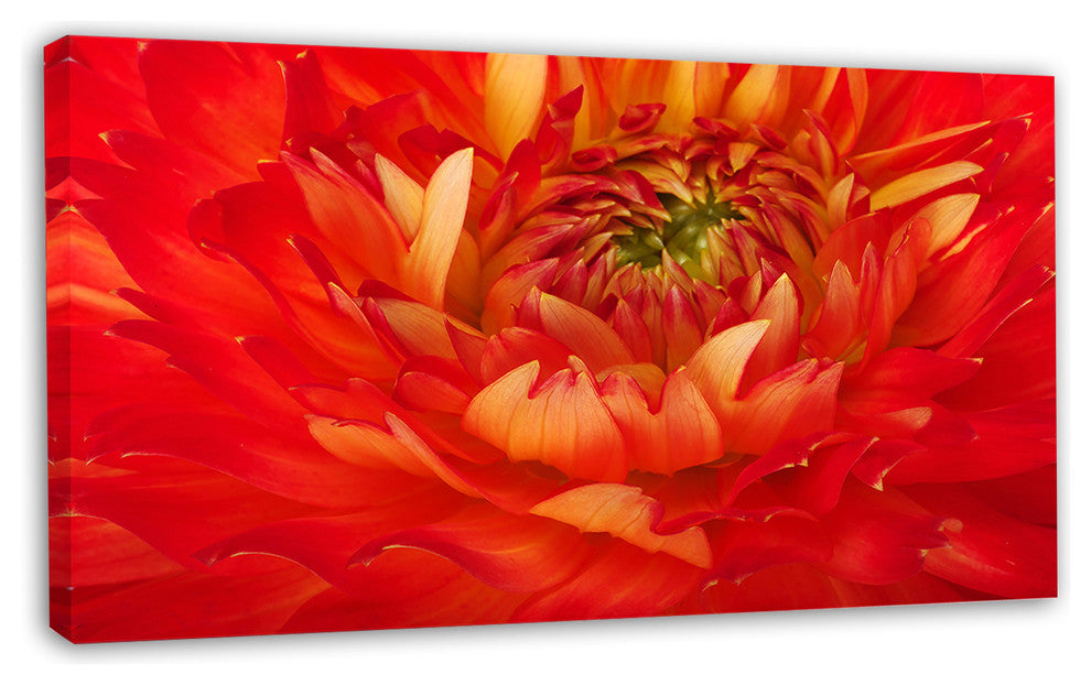 Bright Red Close Up Flower Petals, Floral Canvas Art Print, 32"x16"
