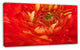 Bright Red Close Up Flower Petals, Floral Canvas Art Print, 32"x16"